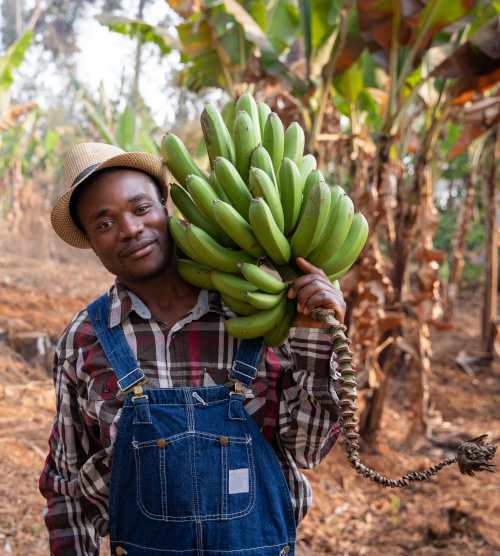 Incentive Rural Worker Portrait Public Employment Uplifting Rural Economies